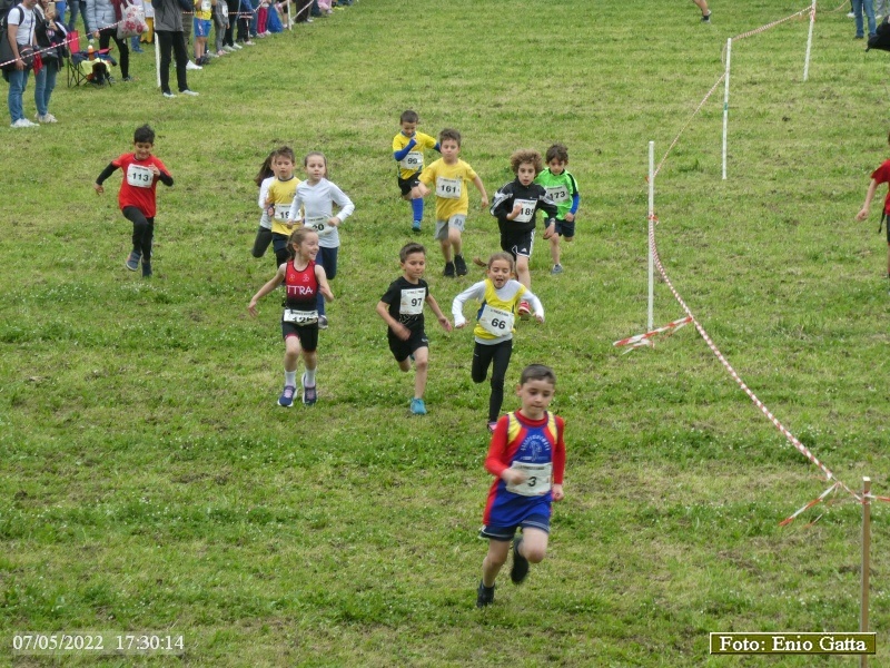 Ravenna: Teodora Ravenna Run - 07 maggio 2022